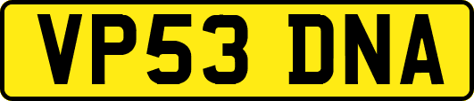VP53DNA