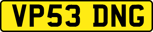 VP53DNG