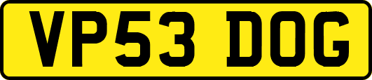 VP53DOG