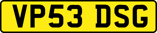 VP53DSG