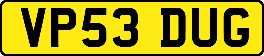 VP53DUG