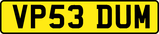 VP53DUM