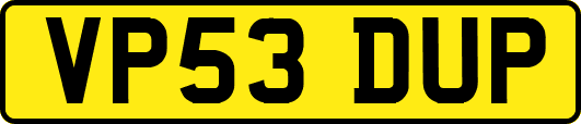 VP53DUP