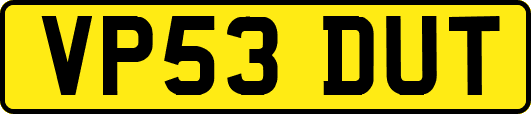 VP53DUT