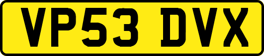 VP53DVX