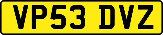 VP53DVZ
