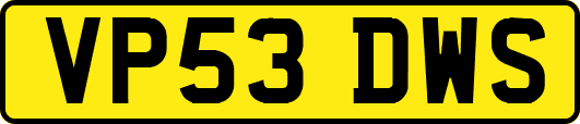 VP53DWS