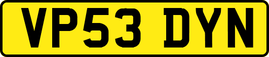 VP53DYN