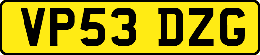 VP53DZG