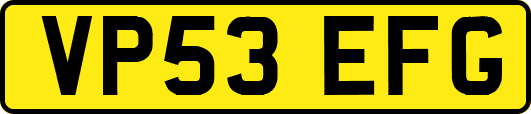 VP53EFG