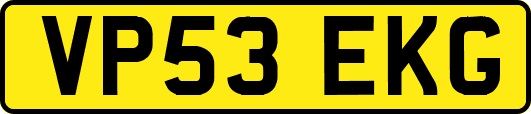 VP53EKG