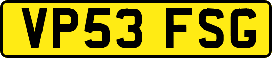VP53FSG