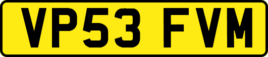 VP53FVM