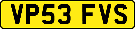 VP53FVS