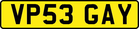 VP53GAY
