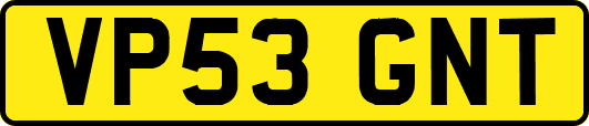 VP53GNT