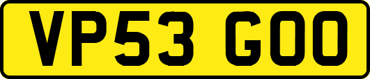 VP53GOO