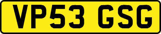 VP53GSG