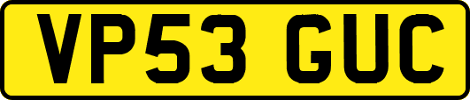 VP53GUC