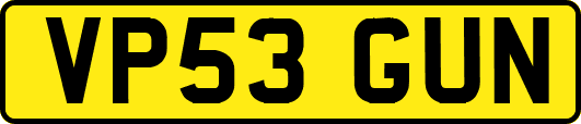 VP53GUN
