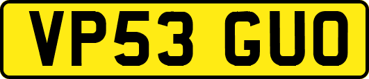 VP53GUO