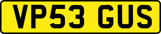 VP53GUS
