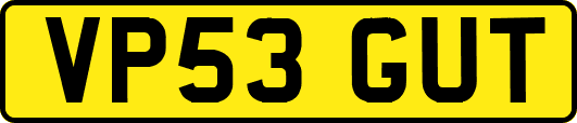 VP53GUT