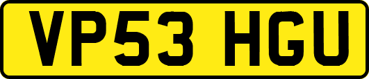 VP53HGU