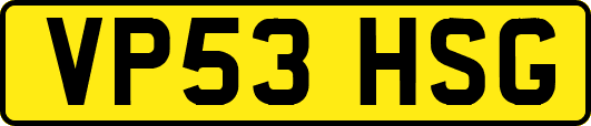 VP53HSG