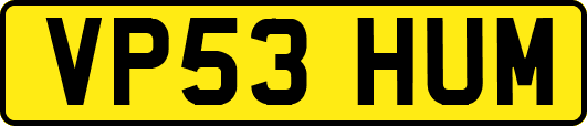 VP53HUM