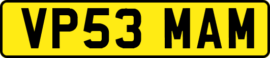 VP53MAM