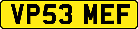 VP53MEF