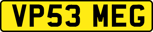 VP53MEG