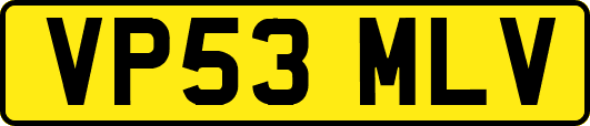 VP53MLV