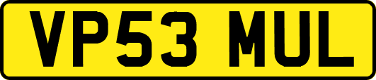 VP53MUL