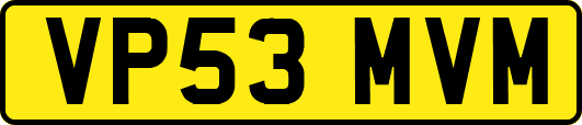 VP53MVM
