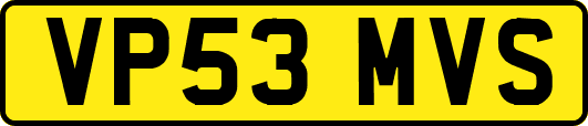 VP53MVS