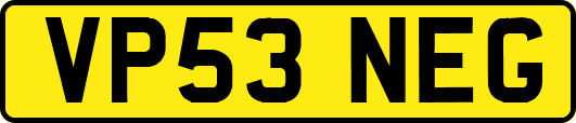 VP53NEG