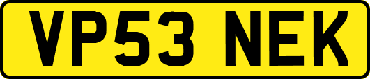 VP53NEK