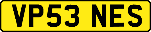 VP53NES
