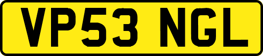 VP53NGL