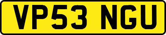 VP53NGU