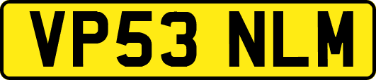 VP53NLM