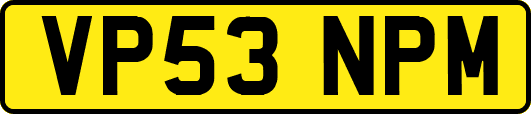 VP53NPM