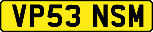 VP53NSM