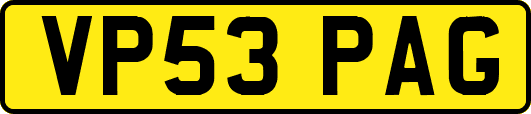 VP53PAG