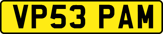 VP53PAM