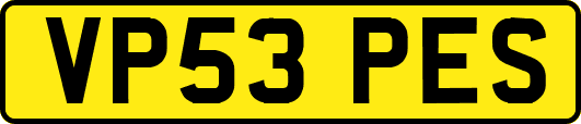 VP53PES