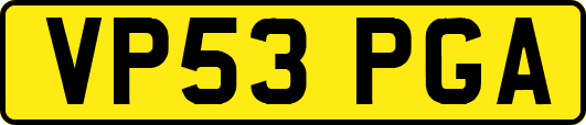 VP53PGA