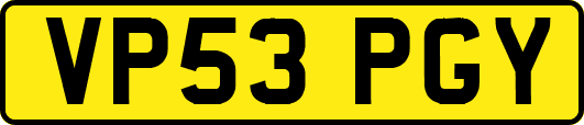 VP53PGY